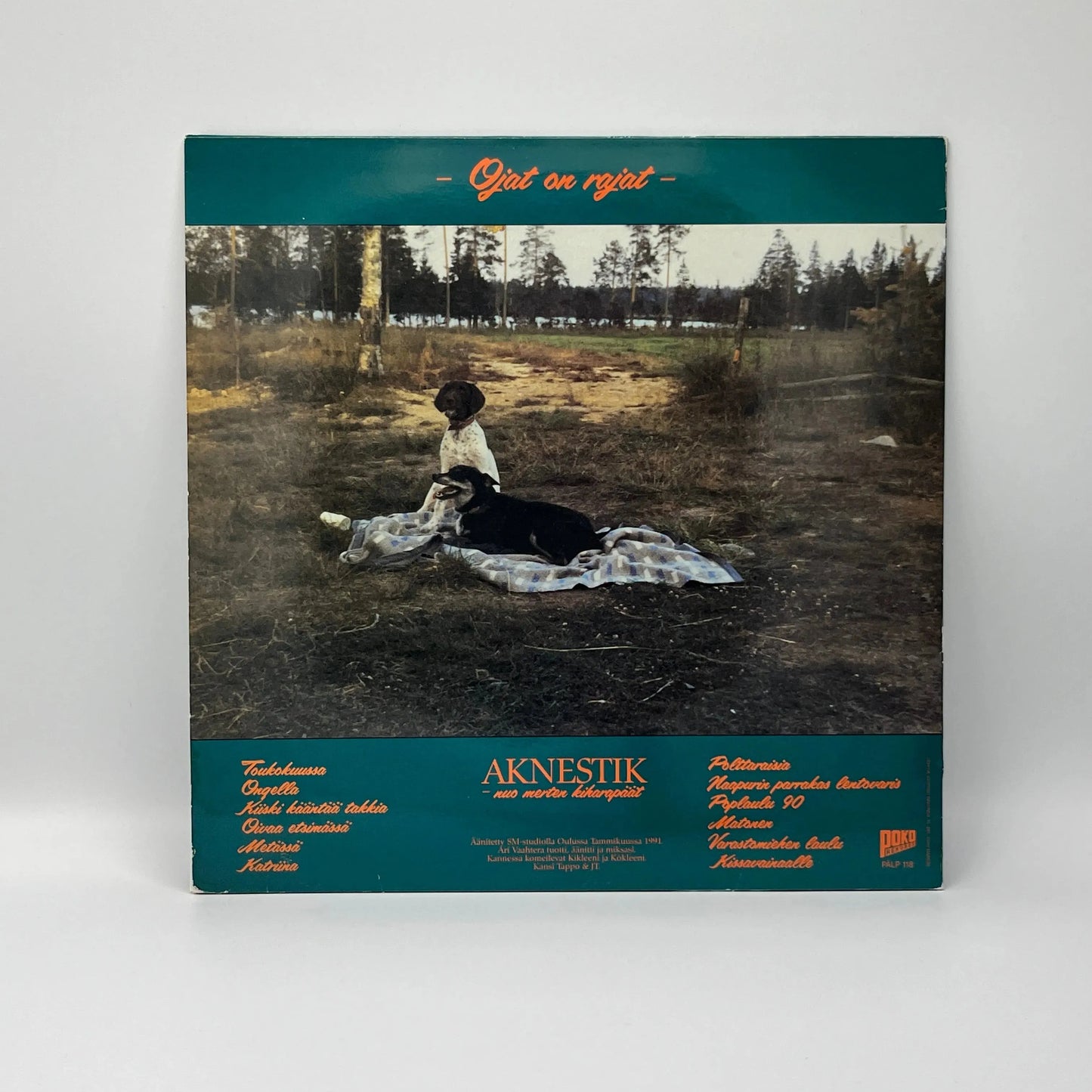 Aknestik - Ojat On Rajat LP