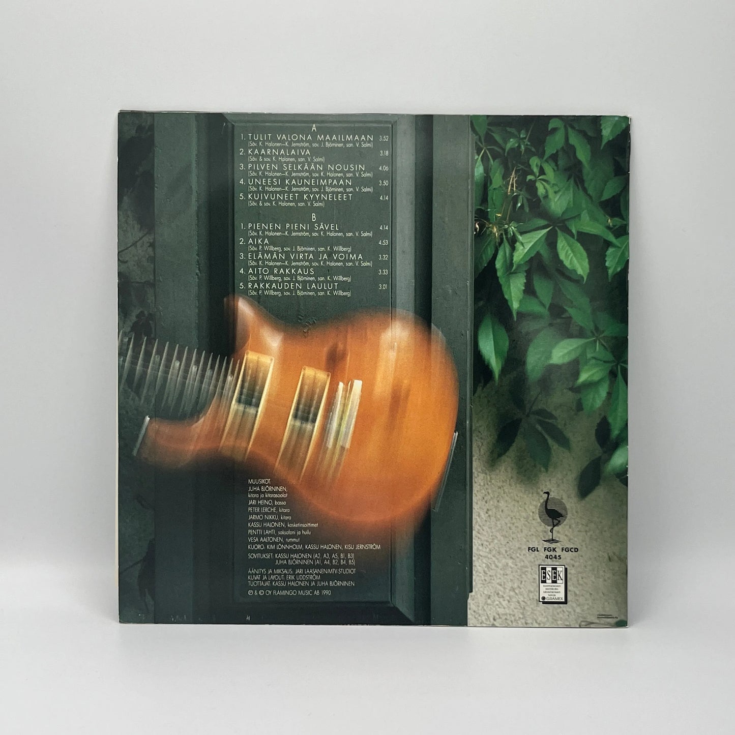 Pepe Willberg - Tulit Valona Maailmaan LP
