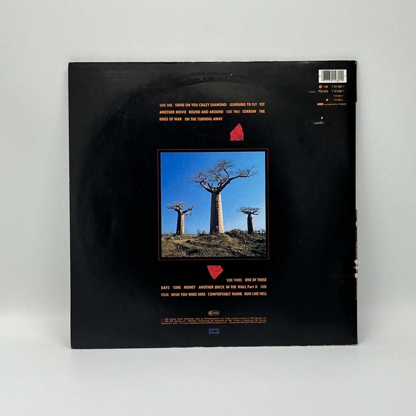 Pink Floyd - Delicate Sound Of Thunder 2LP