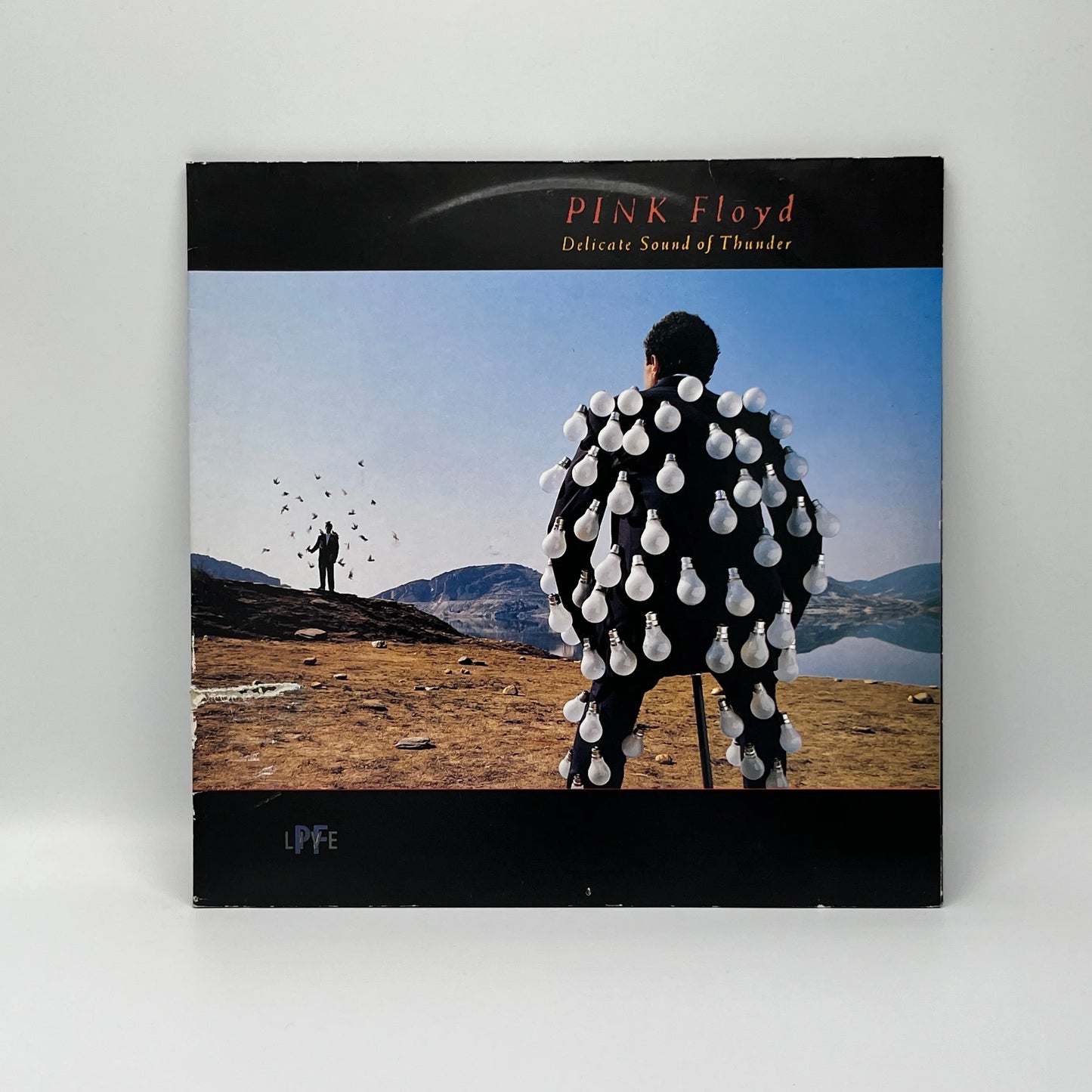Pink Floyd - Delicate Sound Of Thunder 2LP