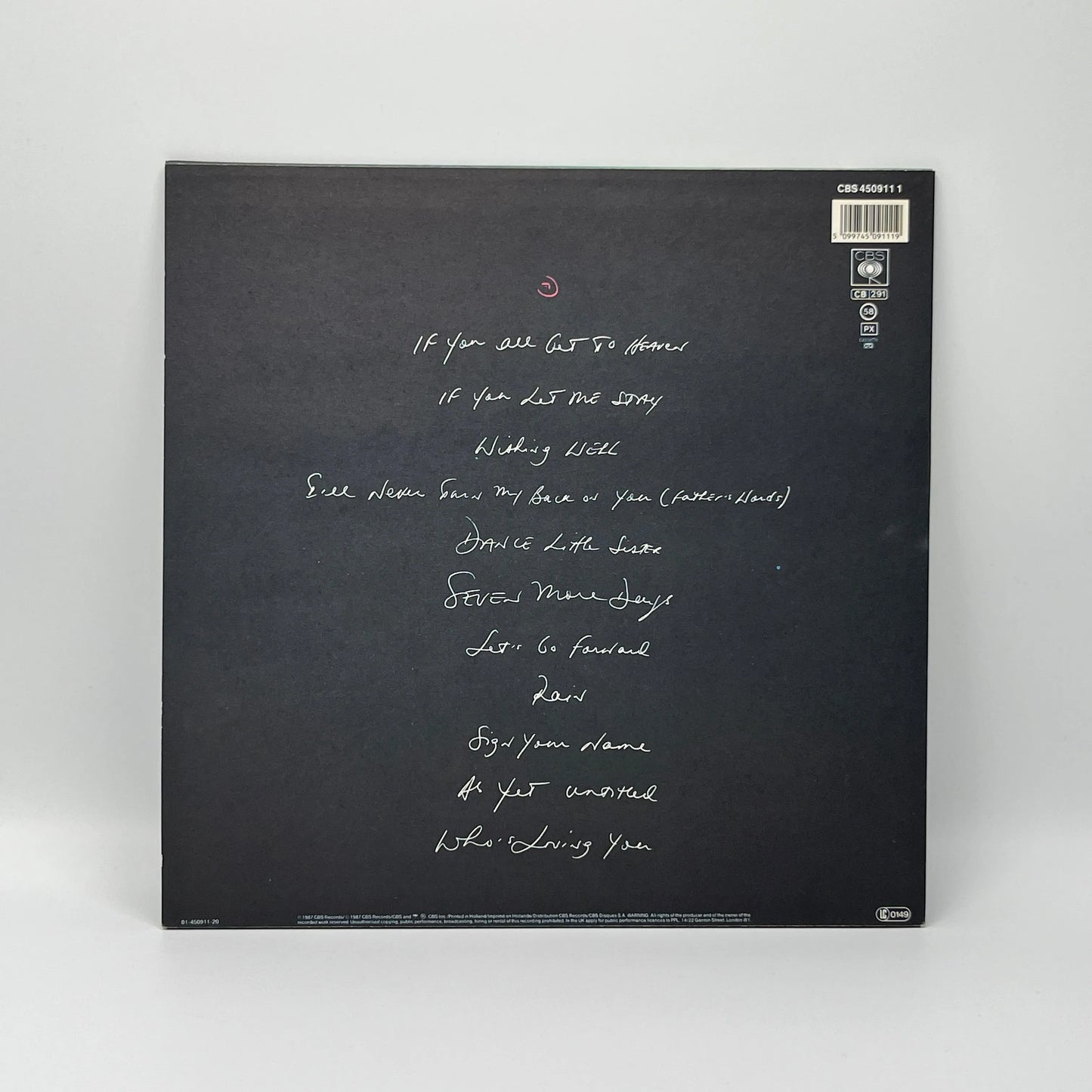 Terence Trent D'Arby – Introducing the Hardline According to Terence Trent D'Arby LP