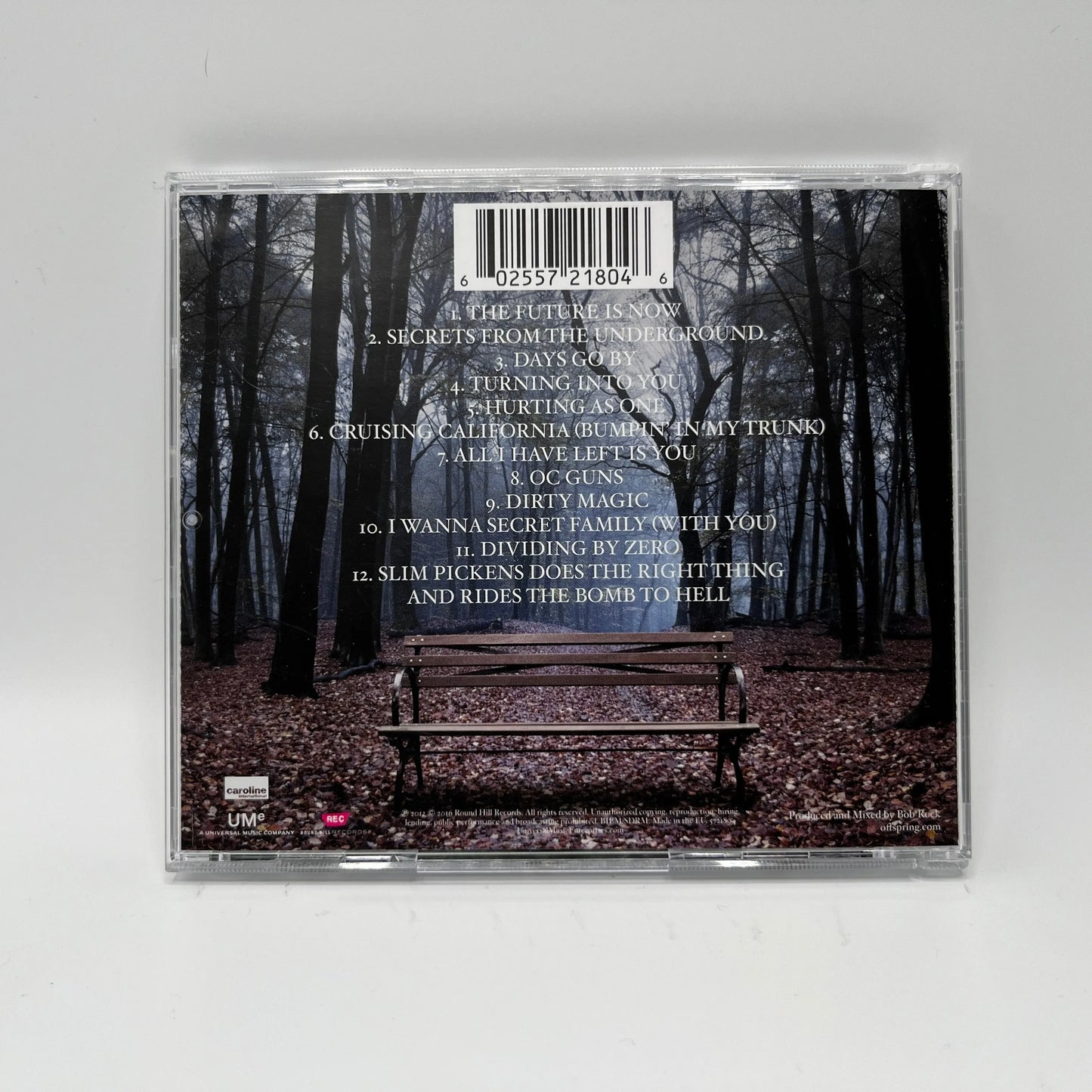 The Offspring - Days Go By CD