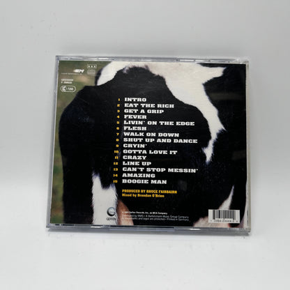 Aerosmith - Get A Grip CD