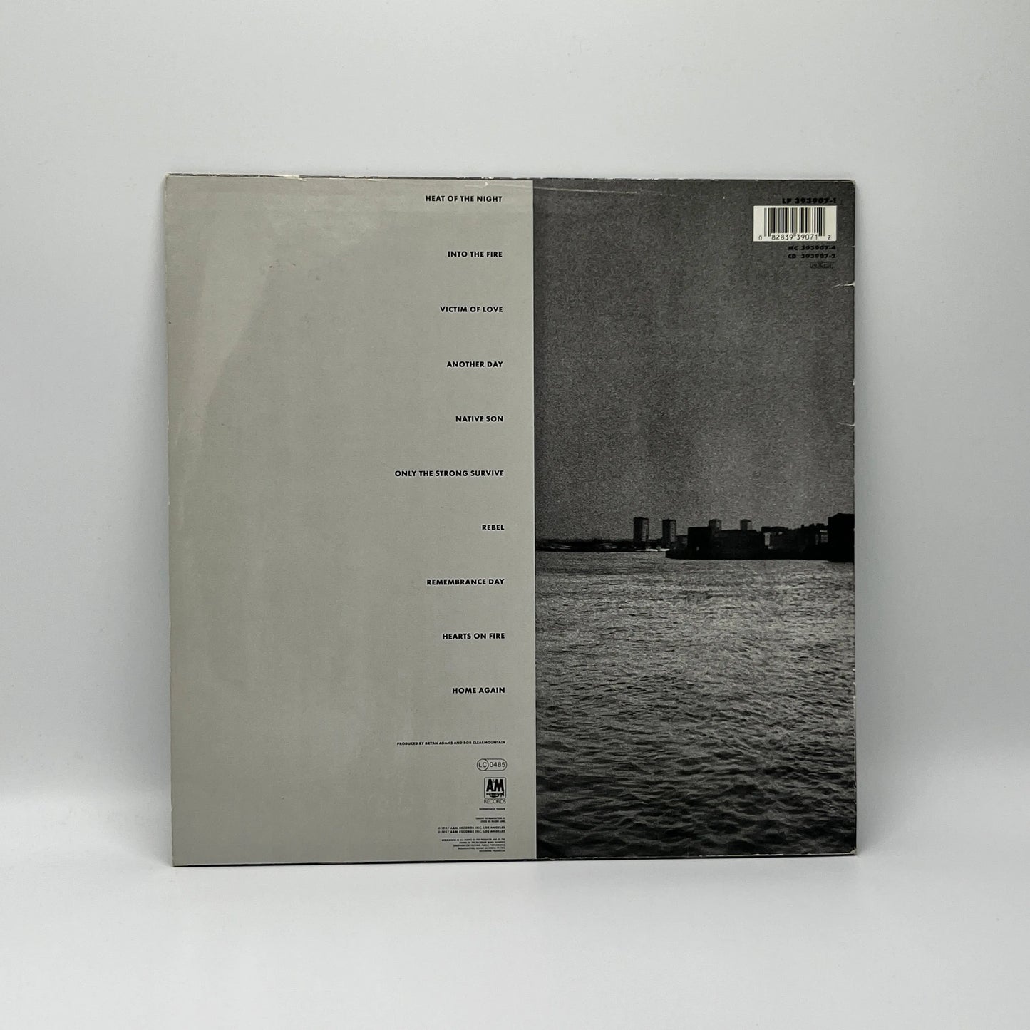 Bryan Adams - Into The Fire LP