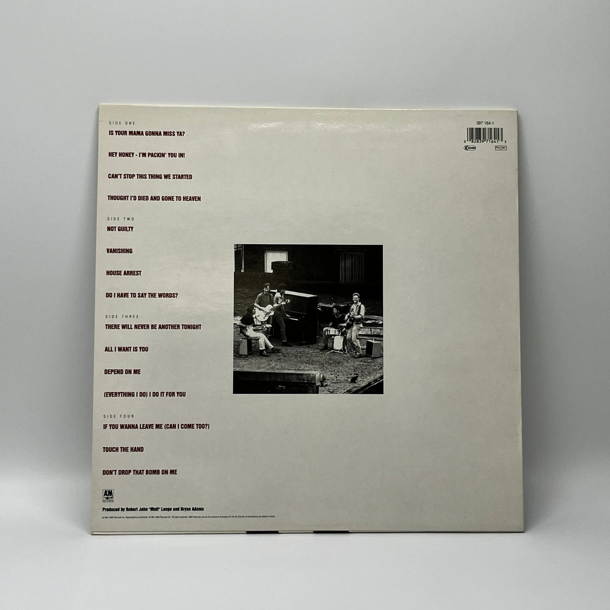 Bryan Adams - Waking Up The Neighbours 2LP