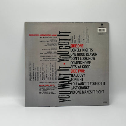 Bryan Adams - You Want It You Got It LP