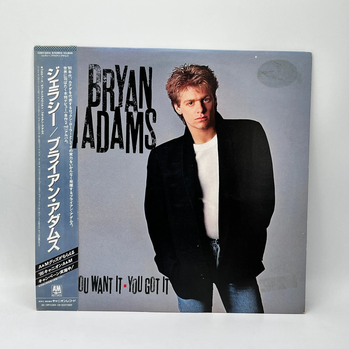 Bryan Adams - You Want It You Got It LP