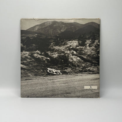 Depeche Mode - 101 2LP Live
