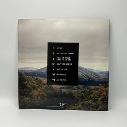 Dirty Projectors + Björk – Mount Wittenberg Orca EP