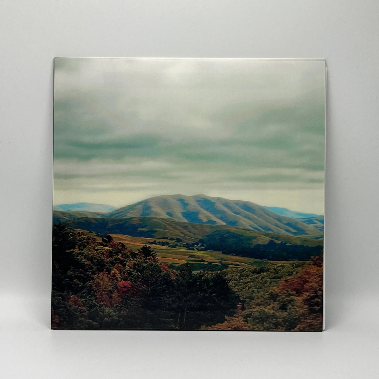 Dirty Projectors + Björk – Mount Wittenberg Orca EP