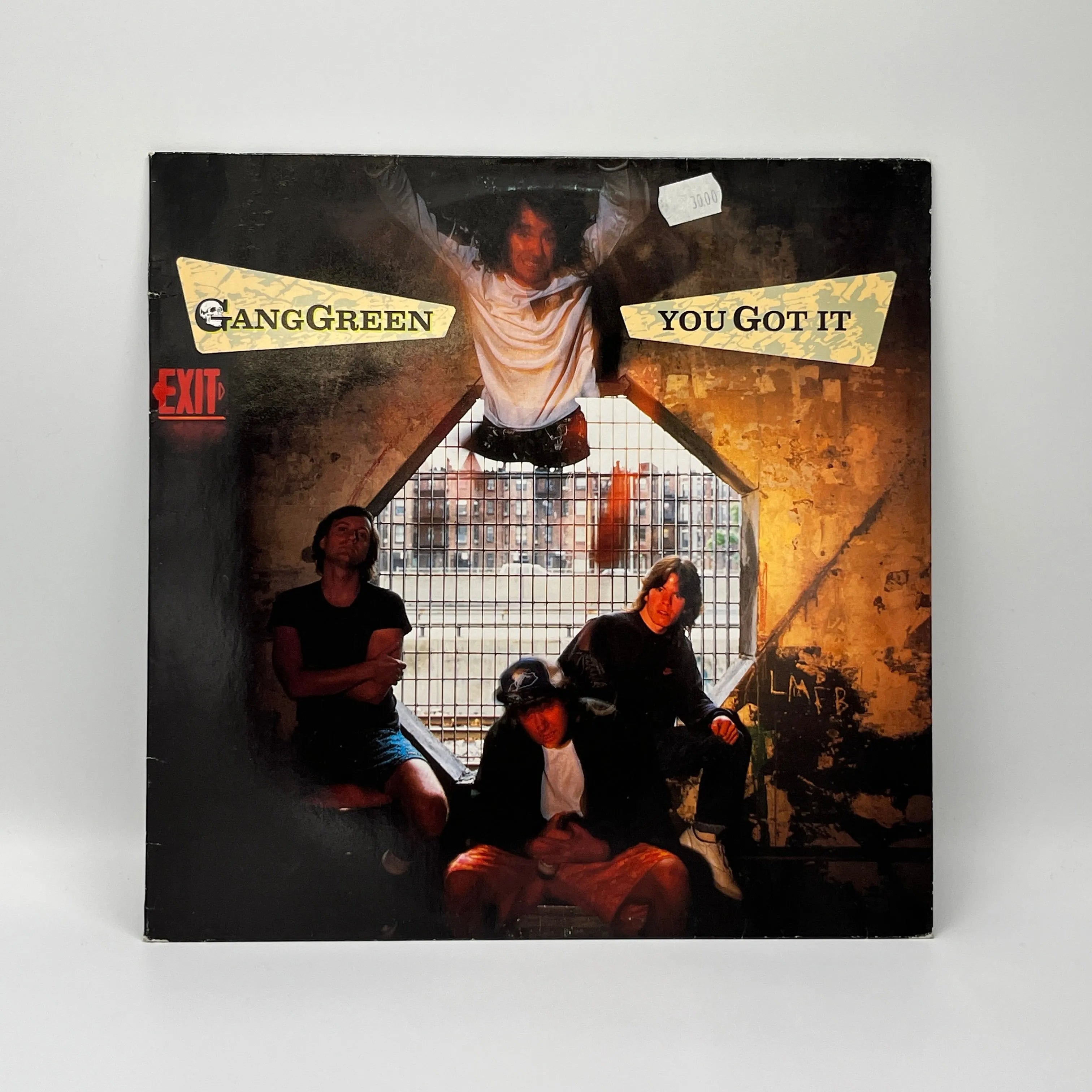 Gang Green ‎– You Got It LP