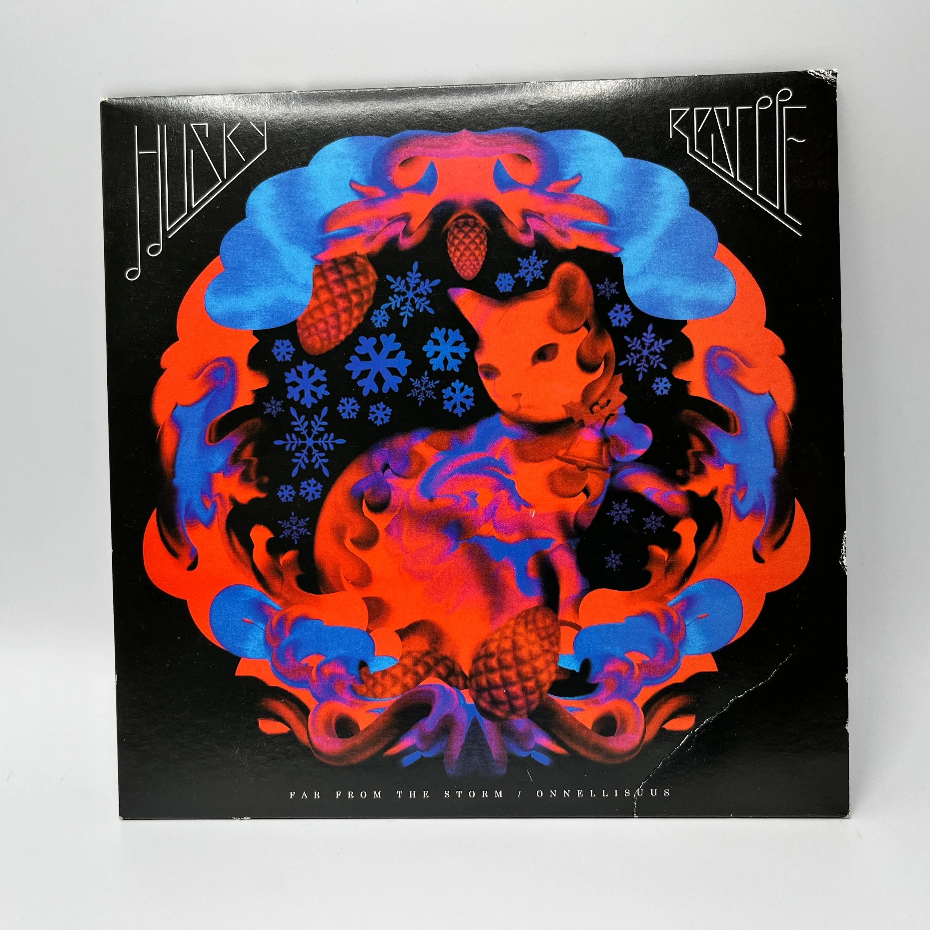 Husky Rescue - Far From The Storm Single