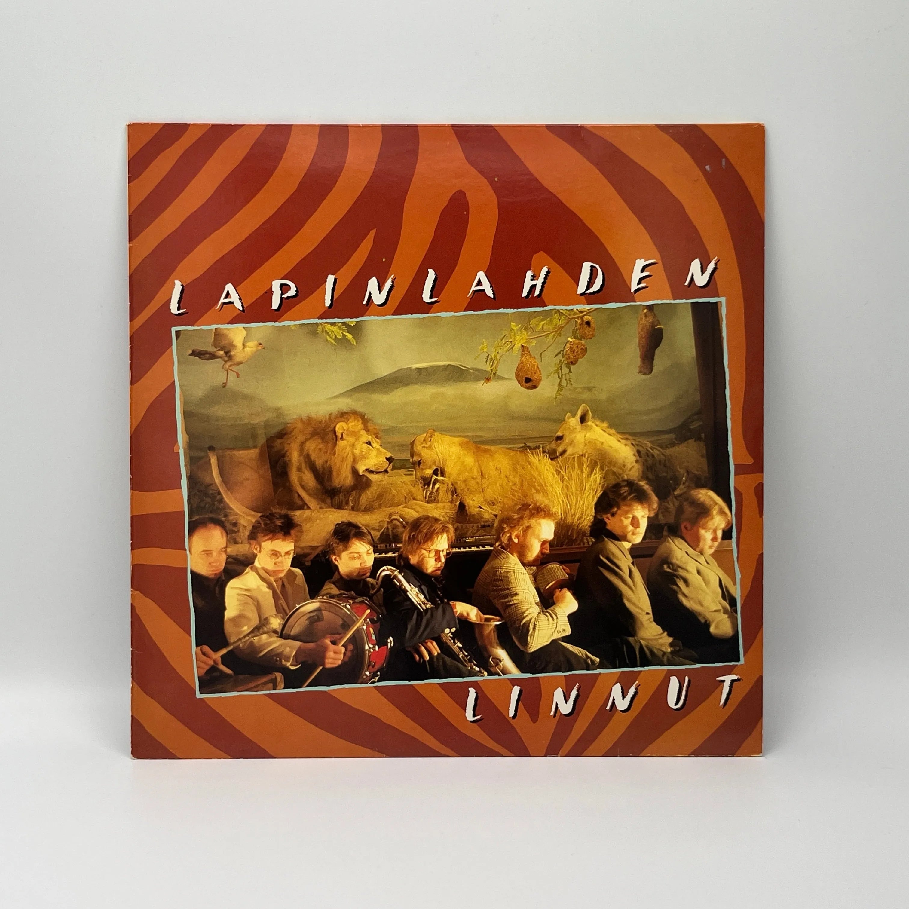 Lapinlahti birds - Lapinlahden Linnut LP