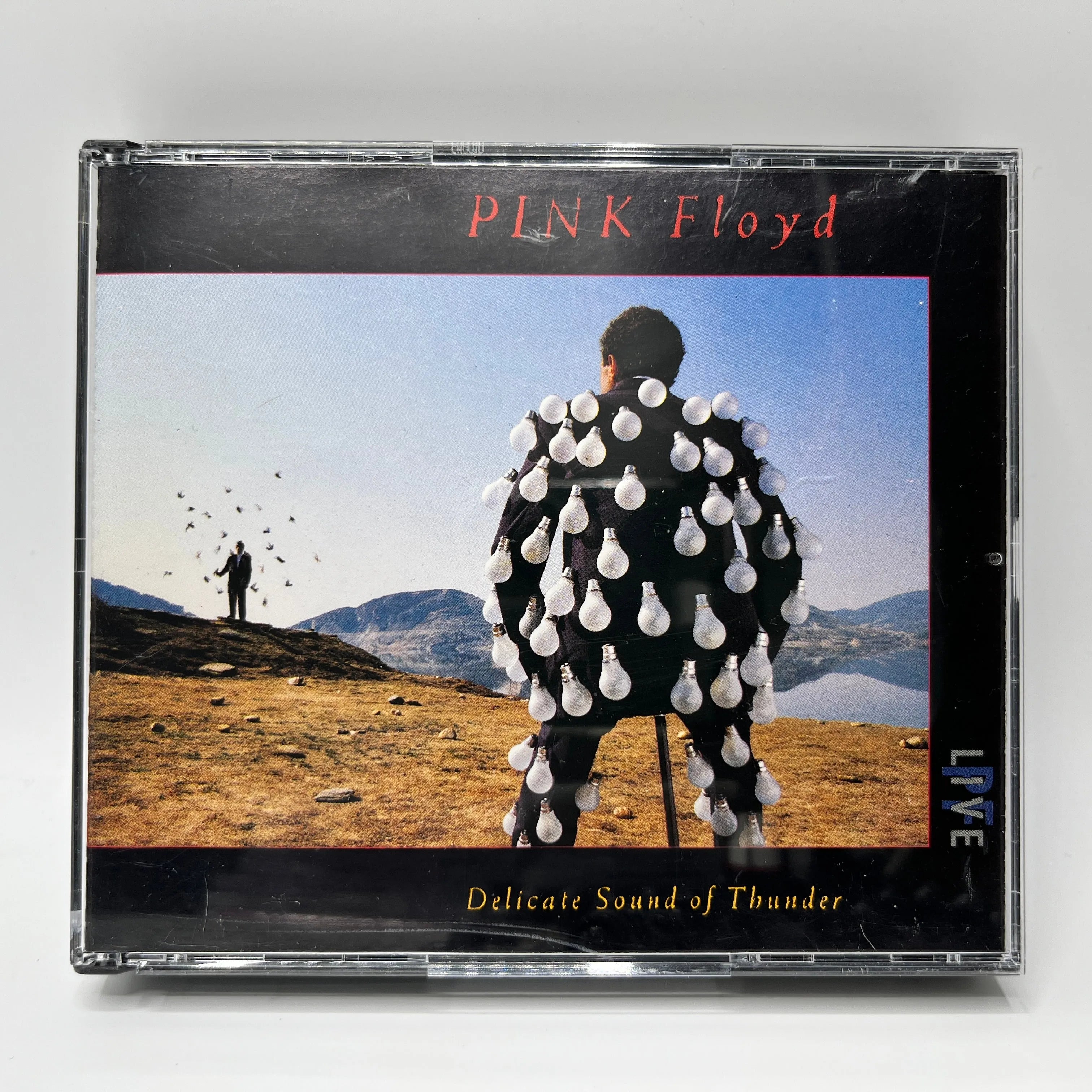 Pink Floyd - Delicate Sound Of Thunder 2CD