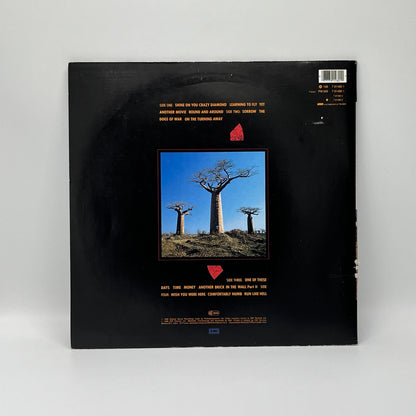 Pink Floyd - Delicate Sound Of Thunder 2LP