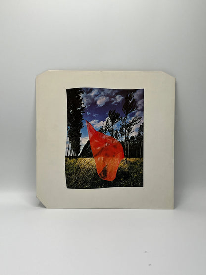 Pink Floyd - Wish You Were Here LP