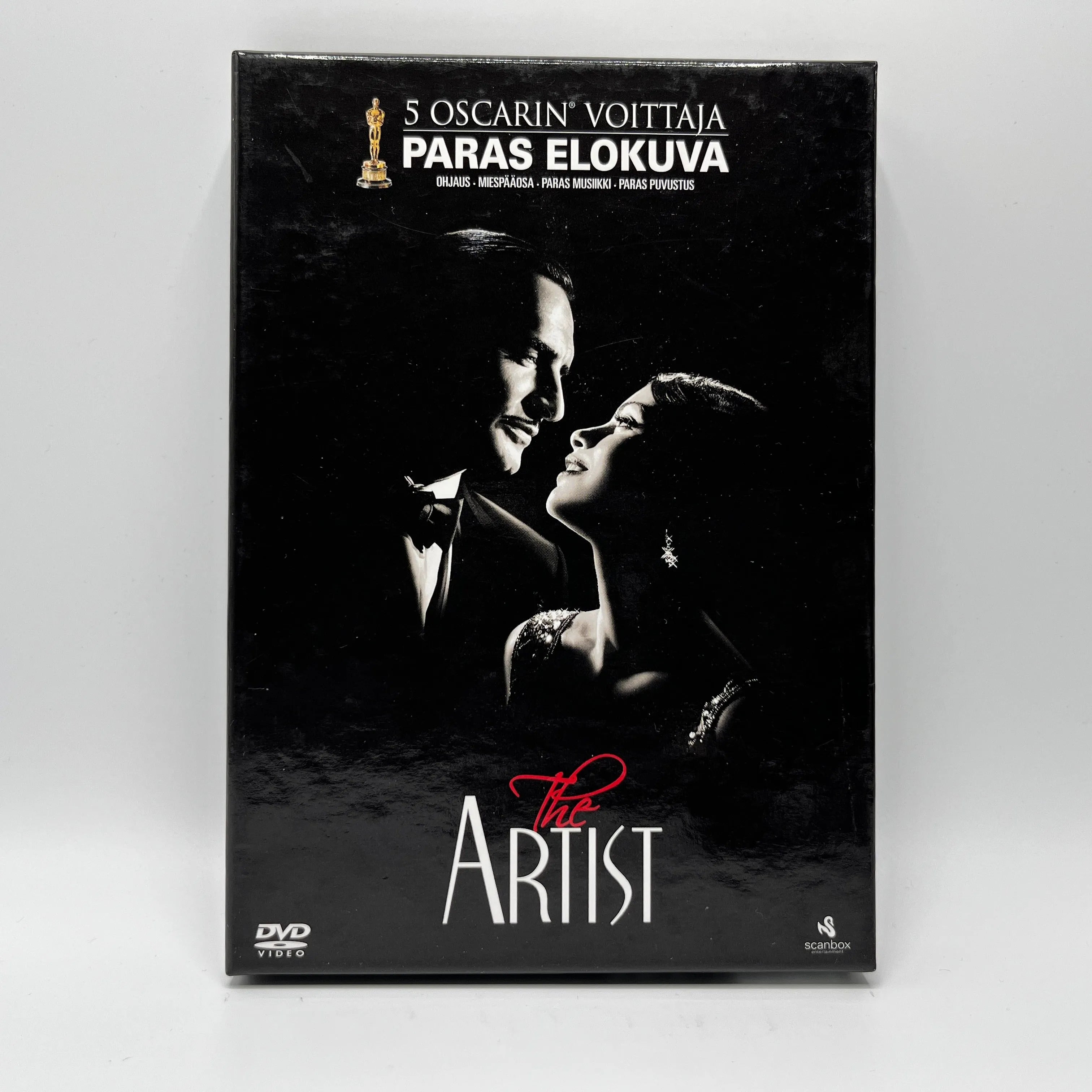 The Artist (DVD)