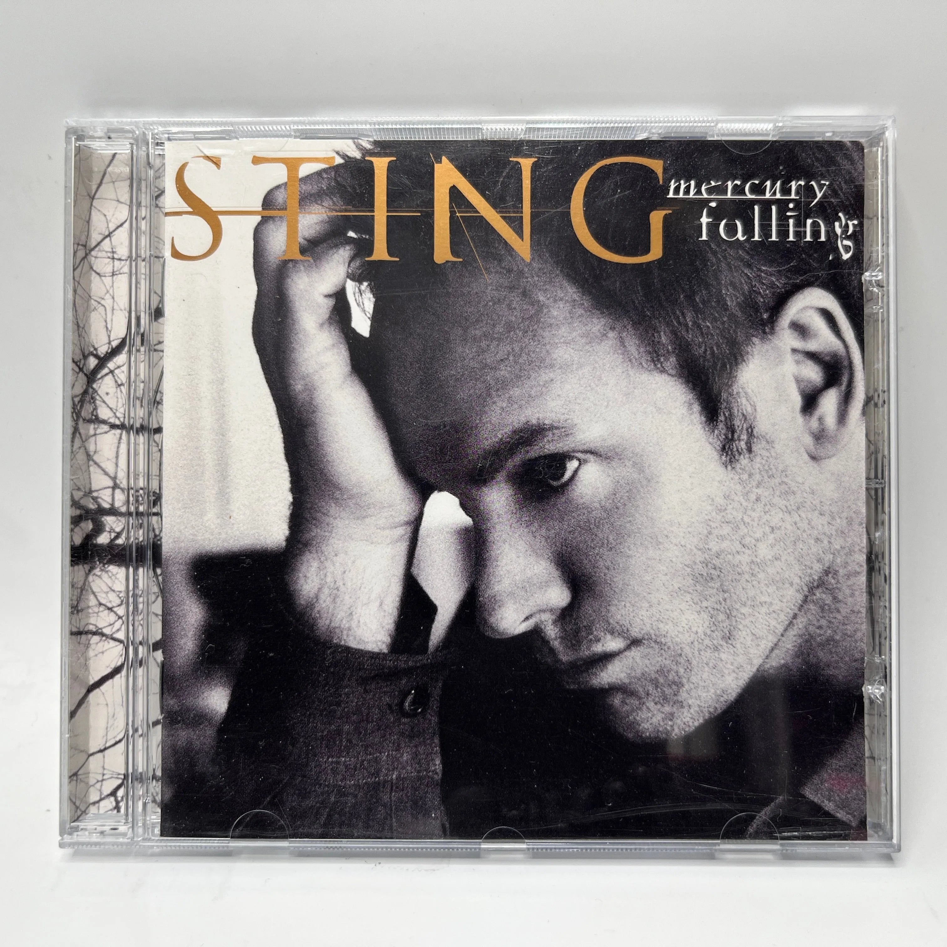 Sting - Mercury Falling CD